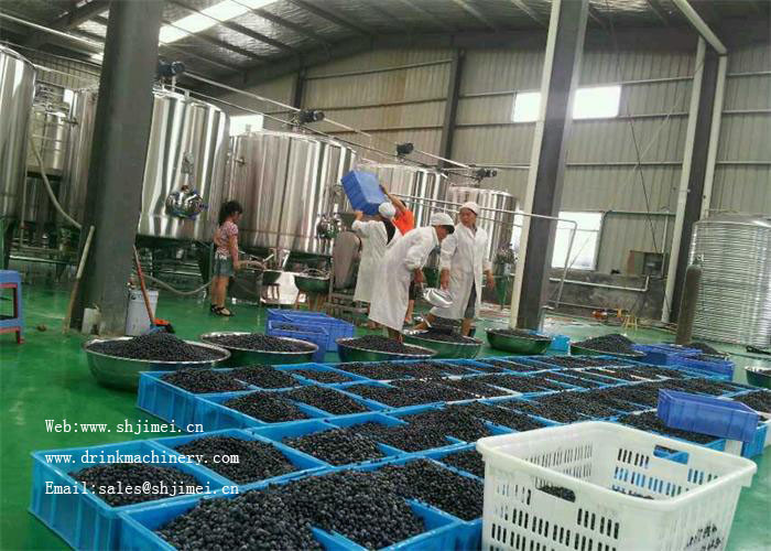 3000L / H de Fruitverwerkingslijn van Mangoapple Voor het Pakket van de HUISDIERENfles